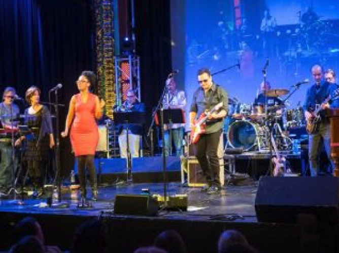 NO STATIC: Tribute to Steely Dan (2)